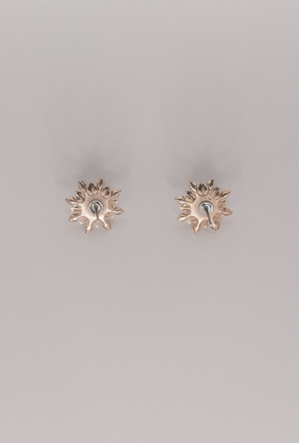 Tiny Specks Of Magic Earrings